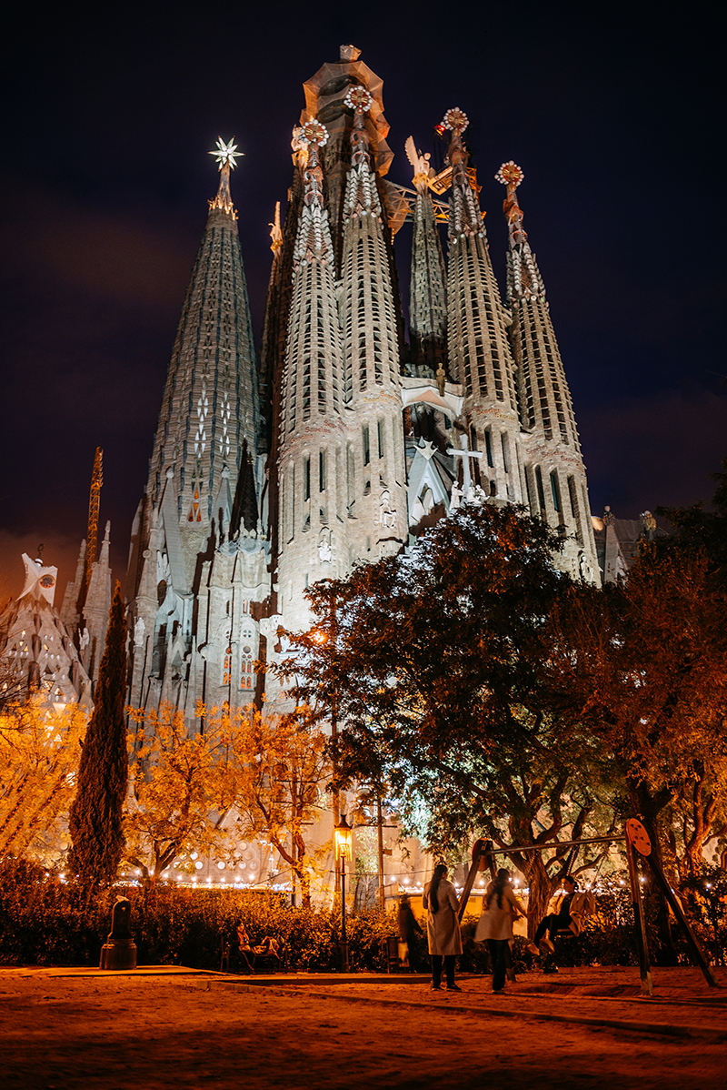 Sagrada Familia facade and tower experience photo